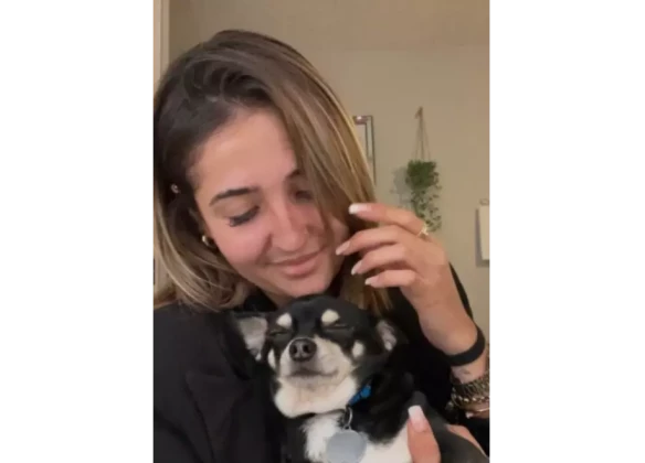 Anima&Lys – Pompes funèbres animalières à Villefranche